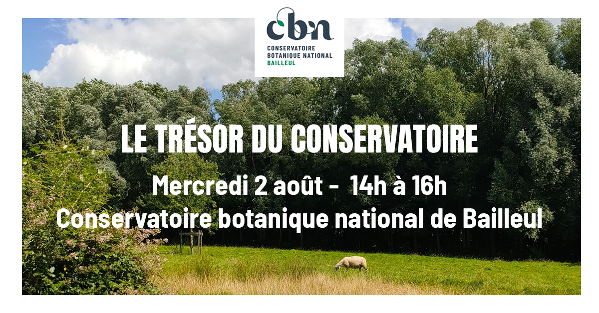 Sortie nature "Le trésor du Conservatoire" (Bailleul, Nord)