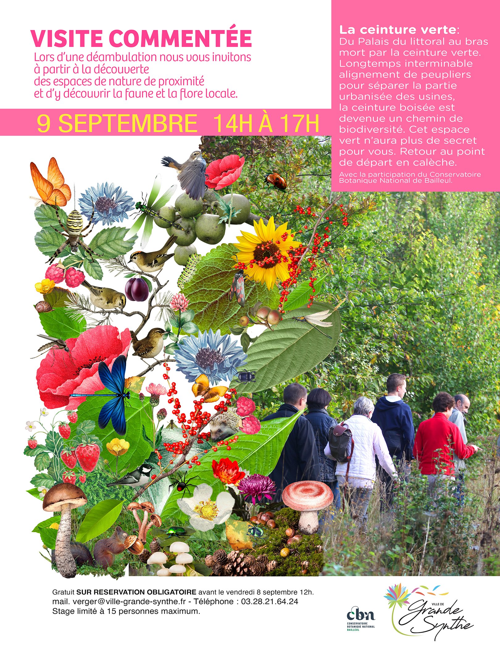 Sortie nature à la découverte de la ceinture verte de Grande-Synthe (Nord)