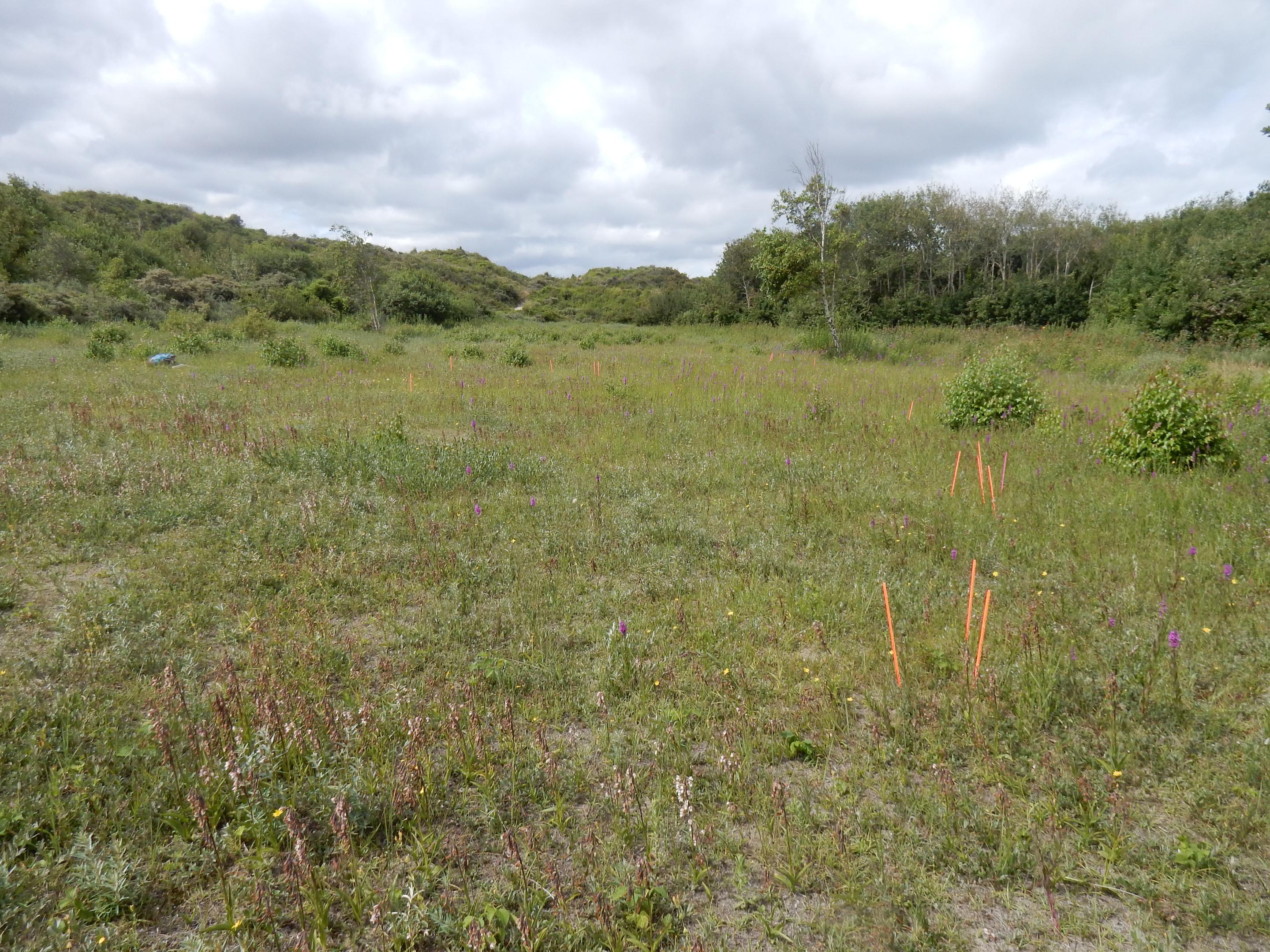 Il n’y a pas que les éclipses de lune et de soleil