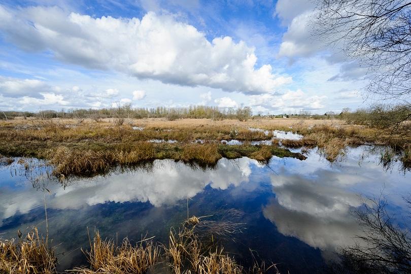 Sortie nature : "Les marais et ses couleurs d’automne" (Sacy, Oise)