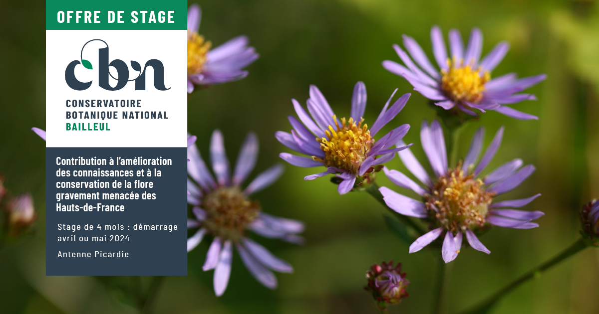 Offre de stage : "Contribution à l’amélioration des connaissances et à la conservation de la flore gravement menacée des Hauts-de-France."