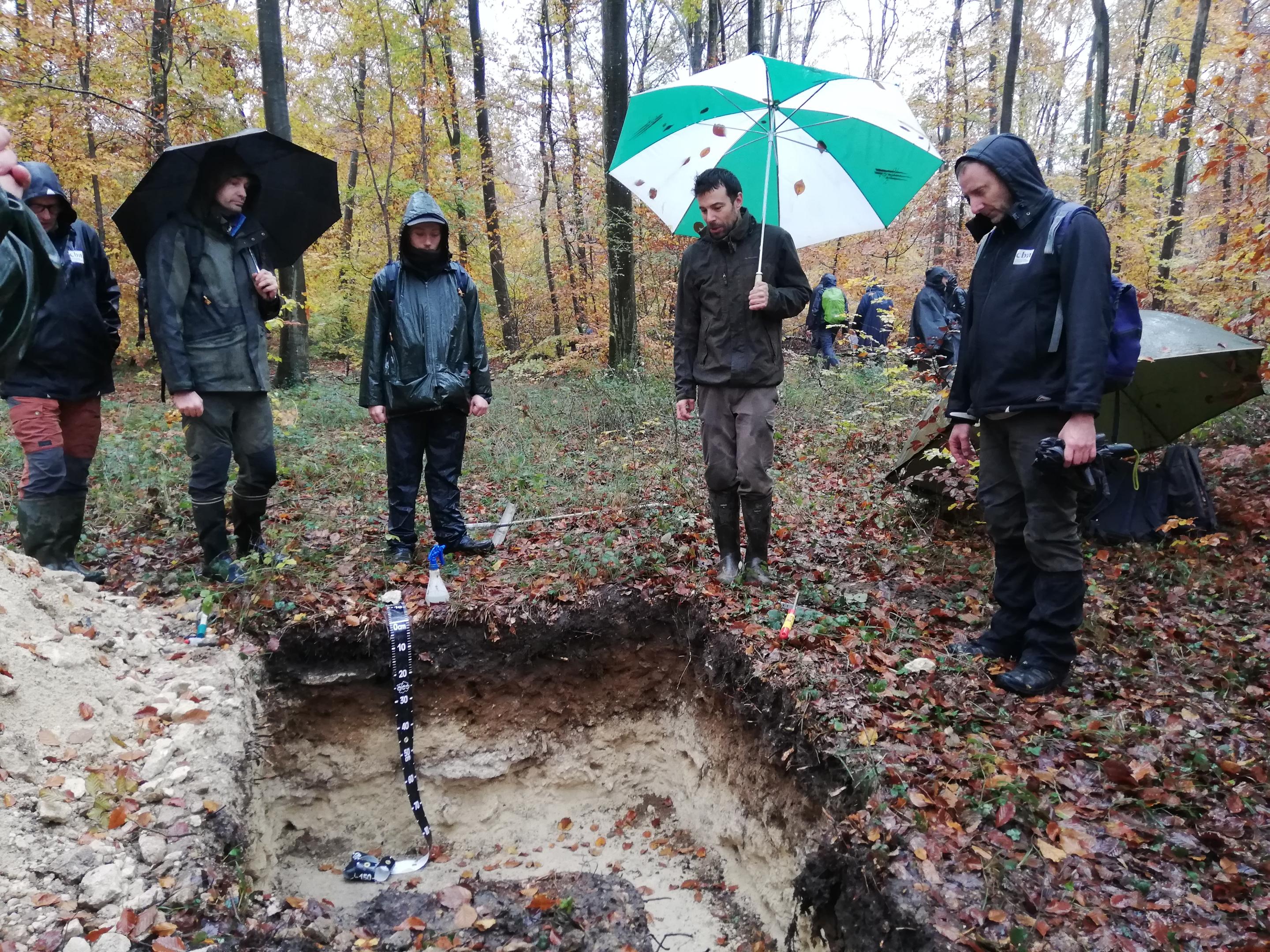 L'équipe se forme à l'étude des sols