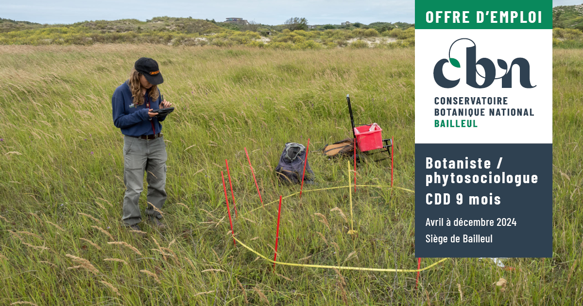 Offre d'emploi : "Botaniste / phytosociologue" au siège à Bailleul en CDD