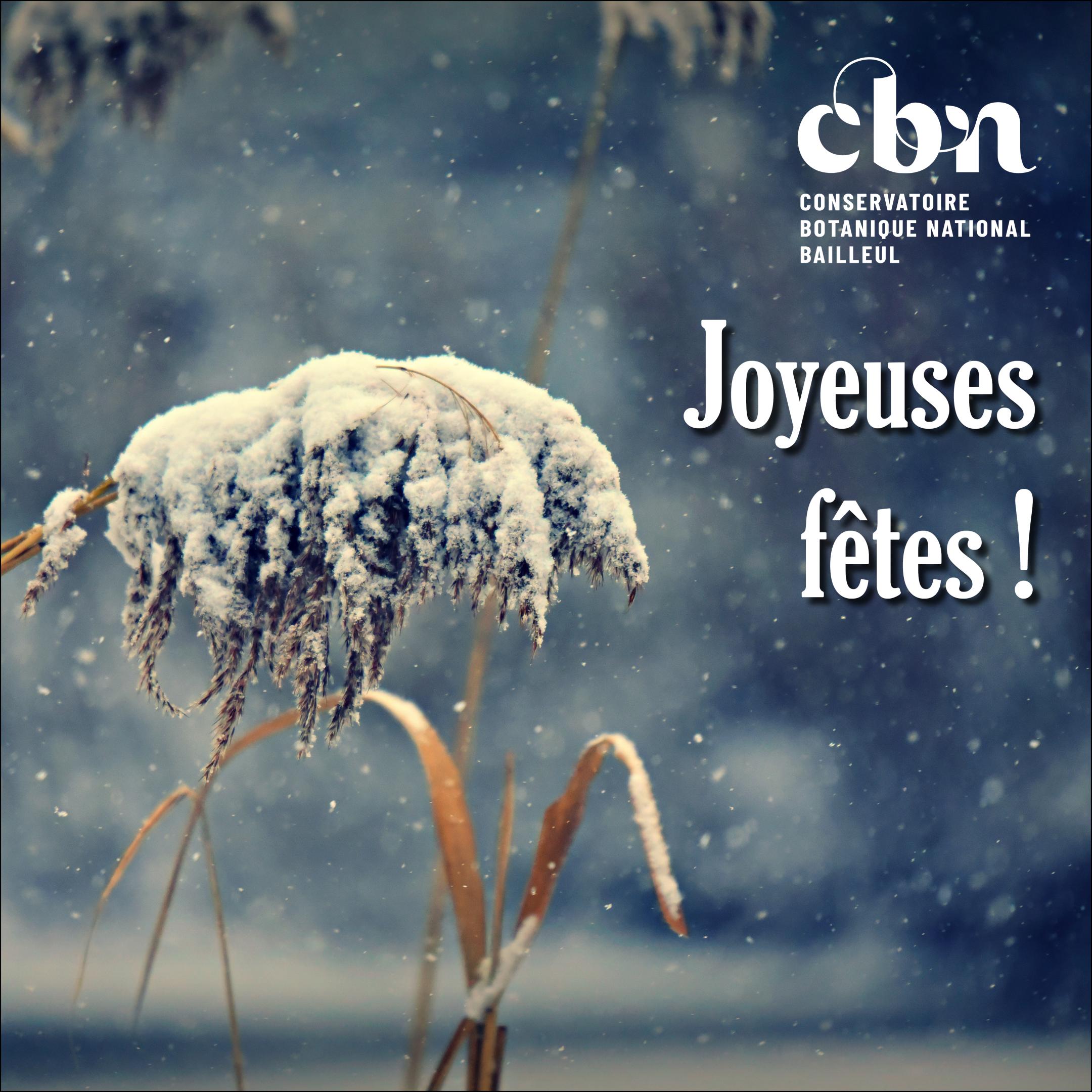 Joyeuses fêtes de fin d'année !