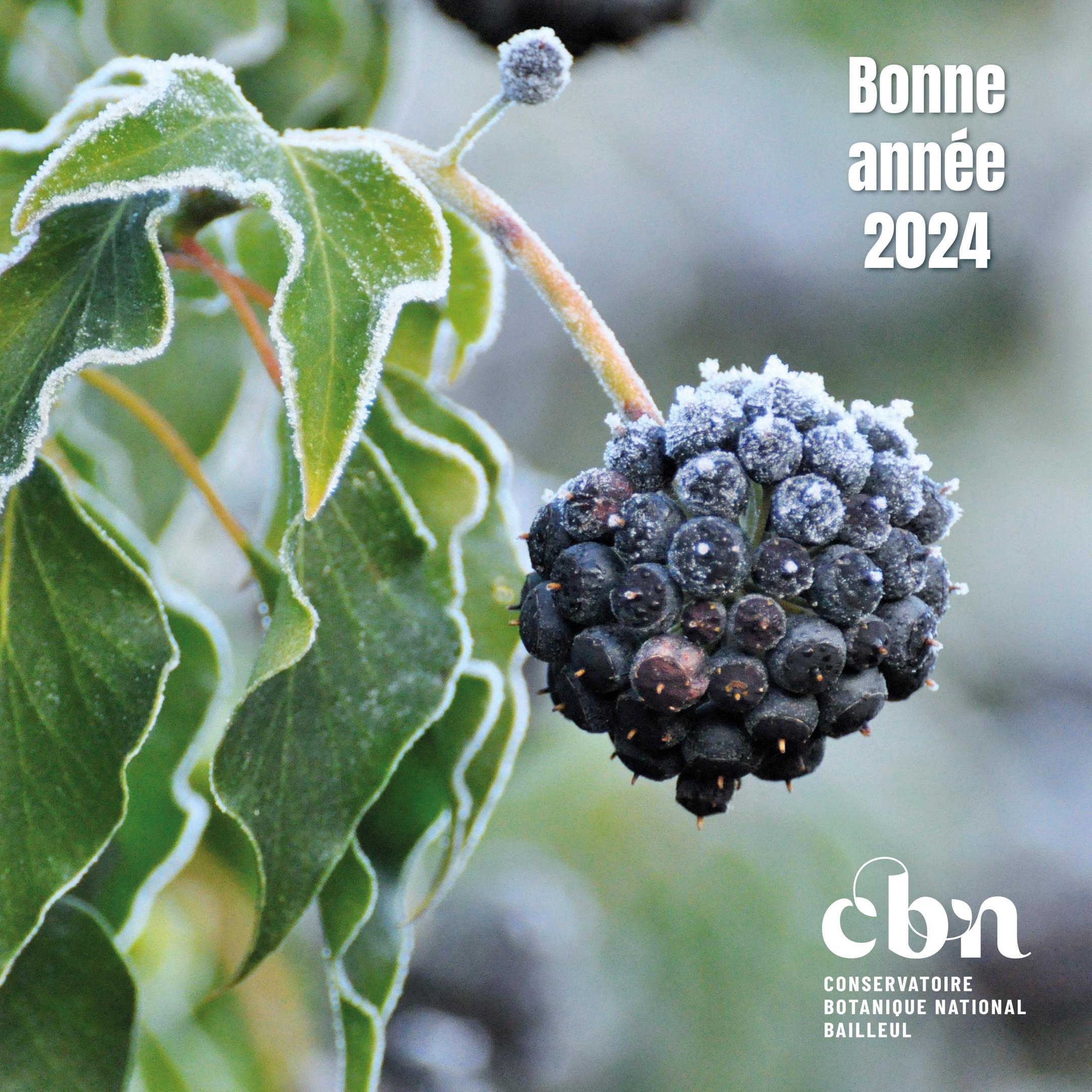 ​voeux 2024
