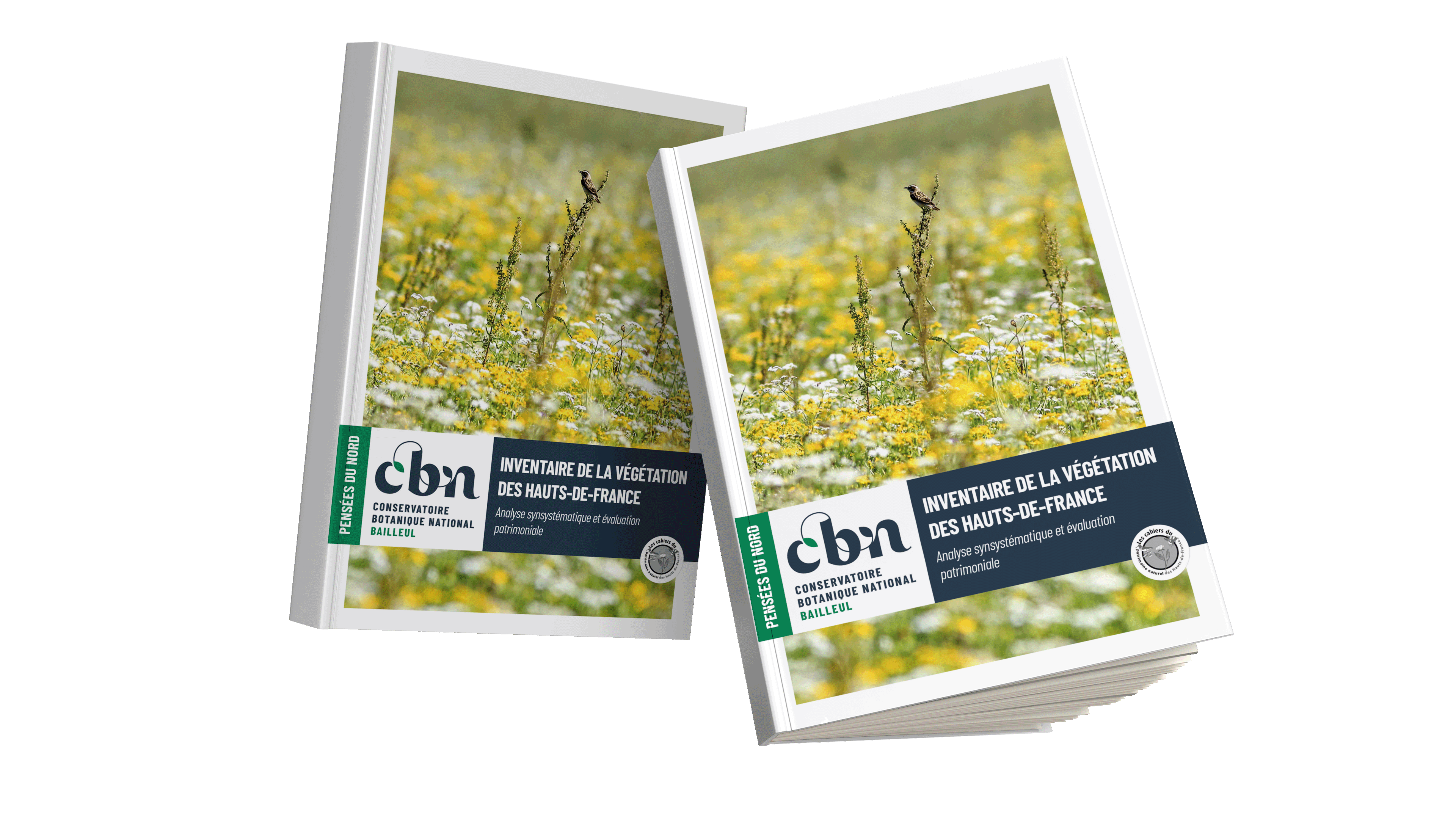 "L'inventaire de la végétation des Hauts-de-France" est paru !