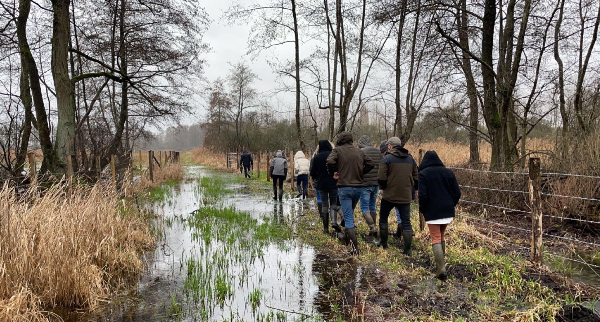 Le CBN de Bailleul invité au comité de pilotage sur les zones humides restaurées par les fédérations de chasse picardes