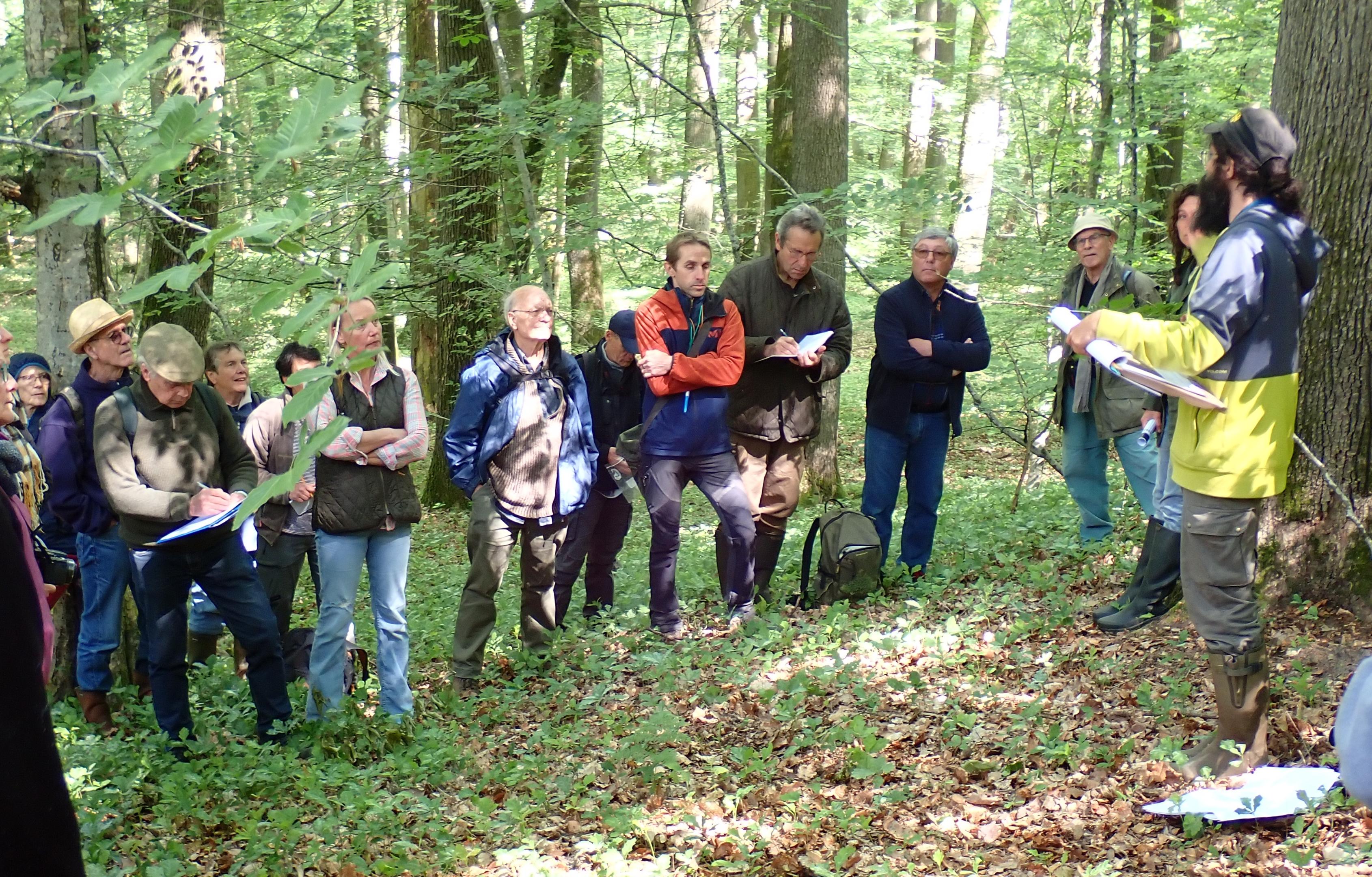 Le réseau des botanistes bénévoles, une aide précieuse pour le CBN de Bailleul