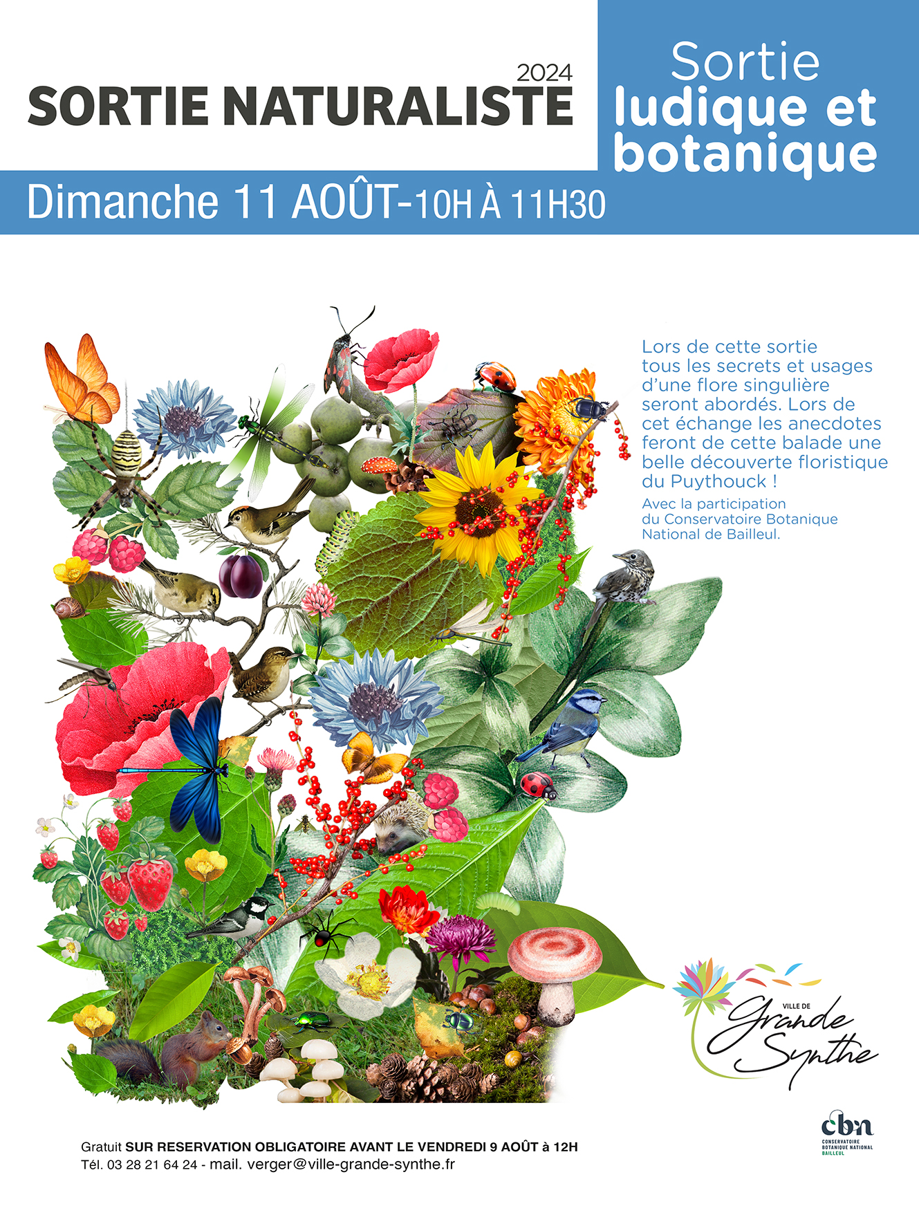 Sortie ludique et botanique au Puythouck (Nord)