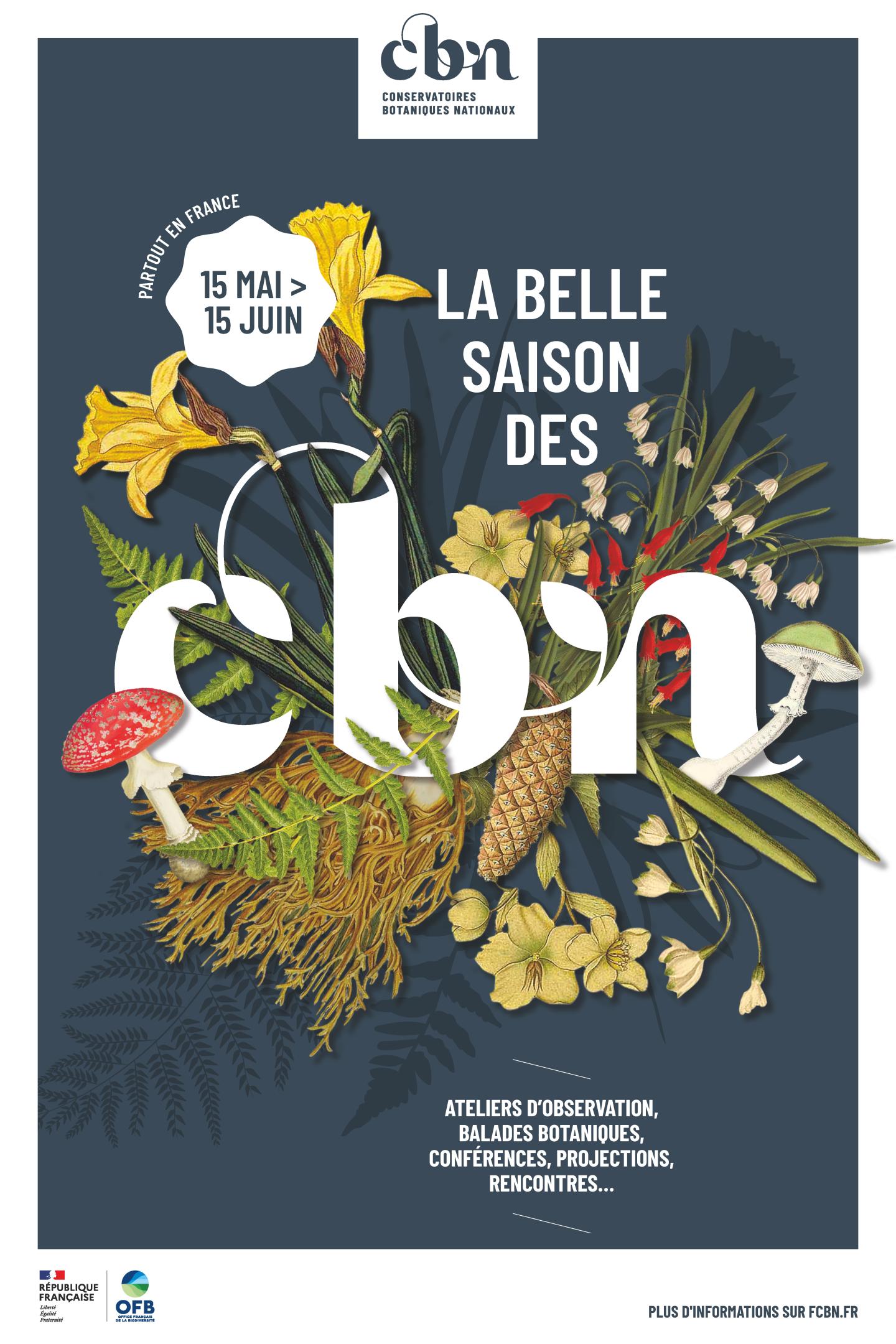 La belle saison des CBN 2024