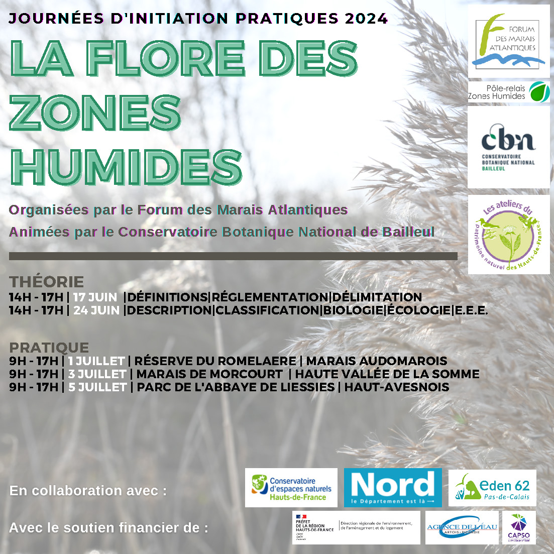 Journées d'initation à la flore des zones humides 