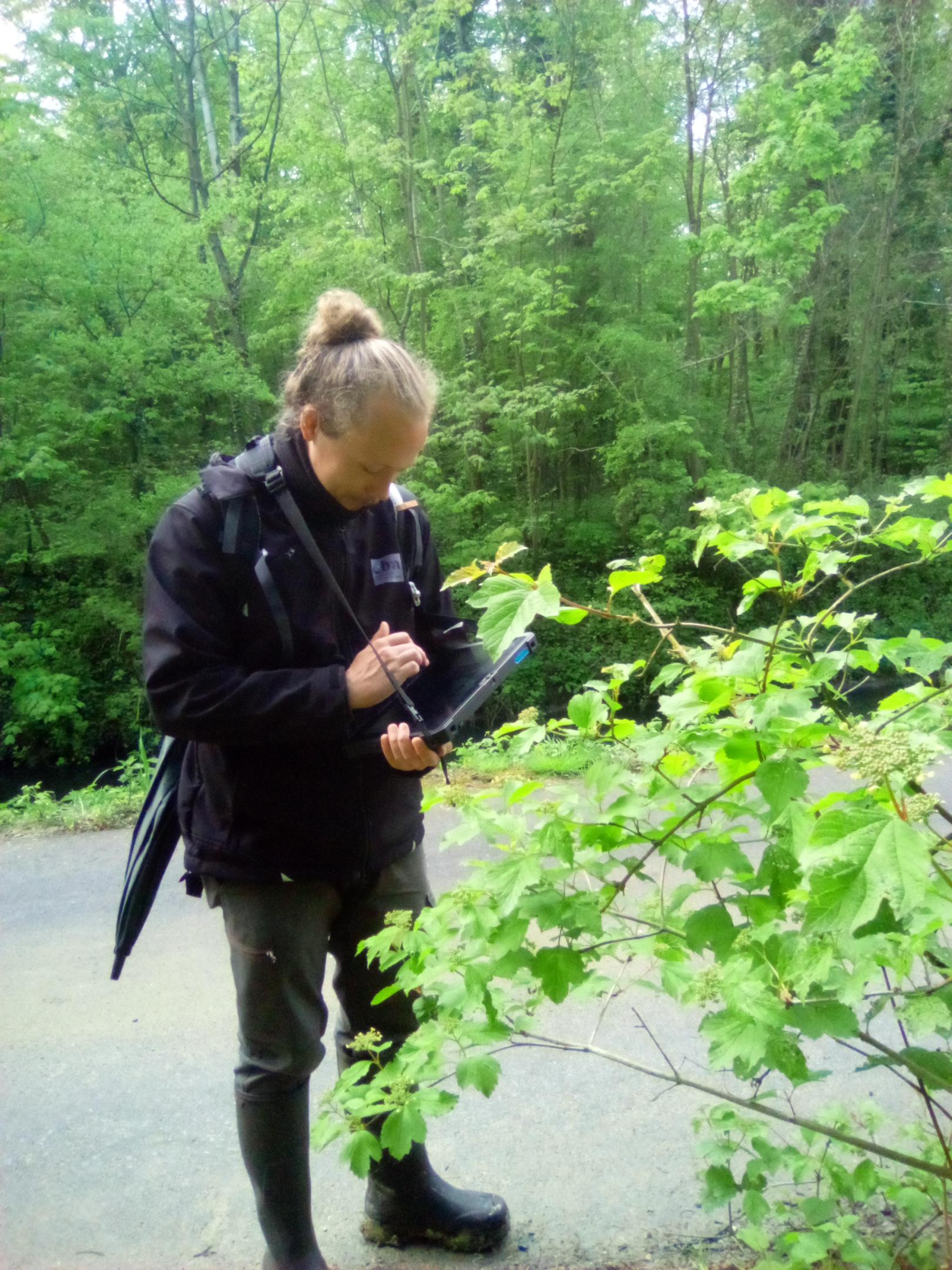 Une mission d’expertise confié au CBNBL par Espaces naturels régionaux dans le cadre de la structuration de la filière Végétal local® dans les Hauts-de-France