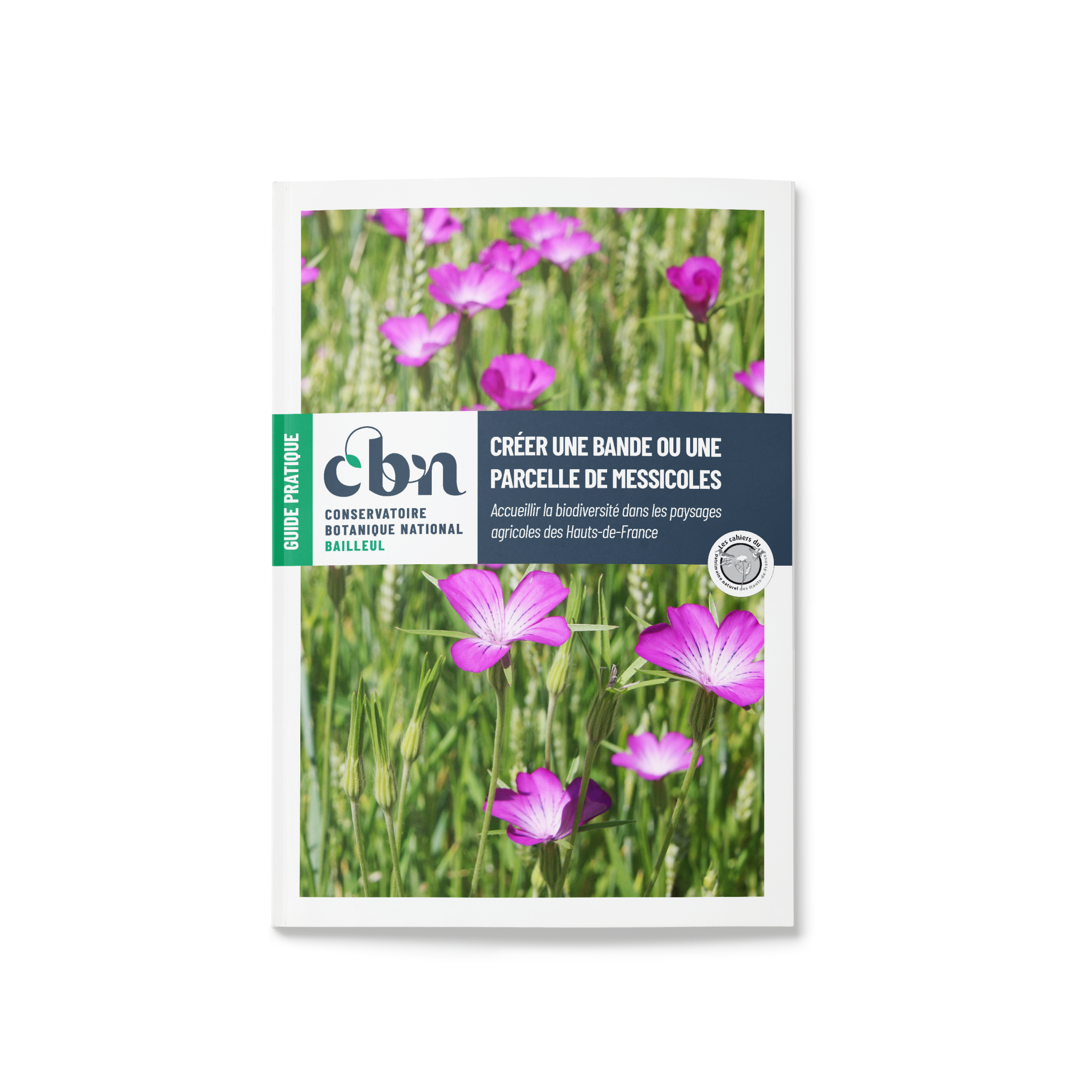 Nouveau guide :  "Créer une bande ou une parcelle de messicoles"