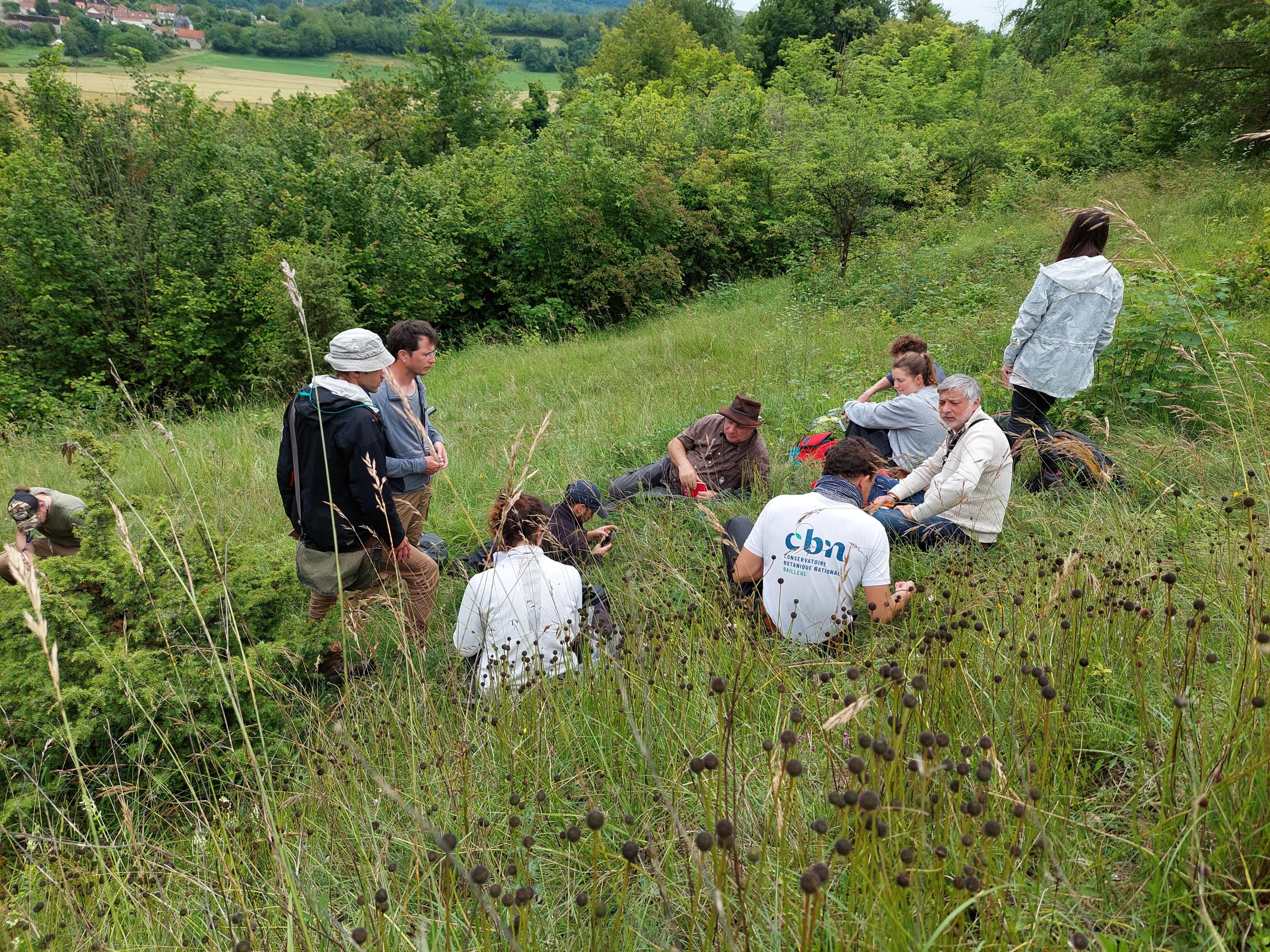 Le collectif phyto sur le terrain dans l'Aisne !