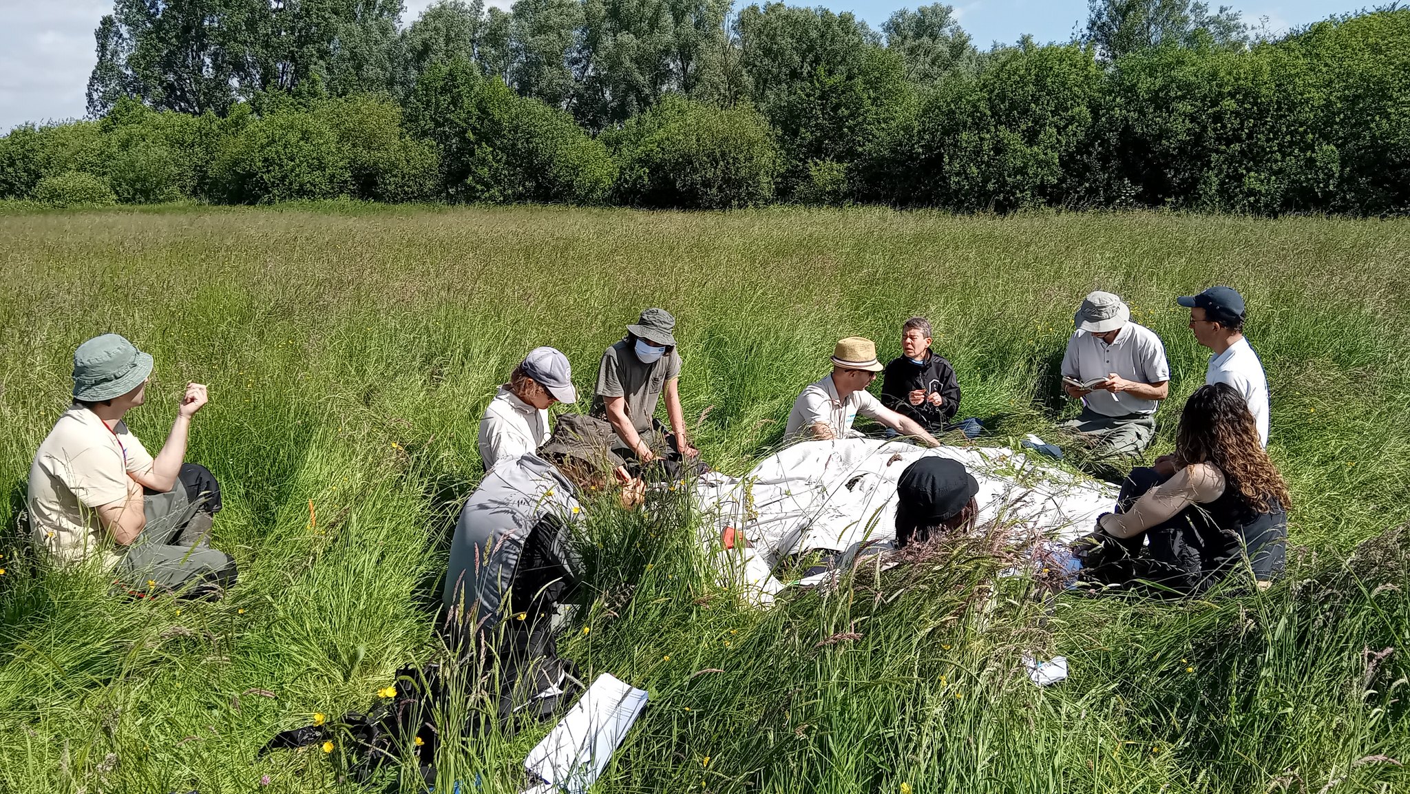 Le CBN de Bailleul forme le personnel du Département du Nord