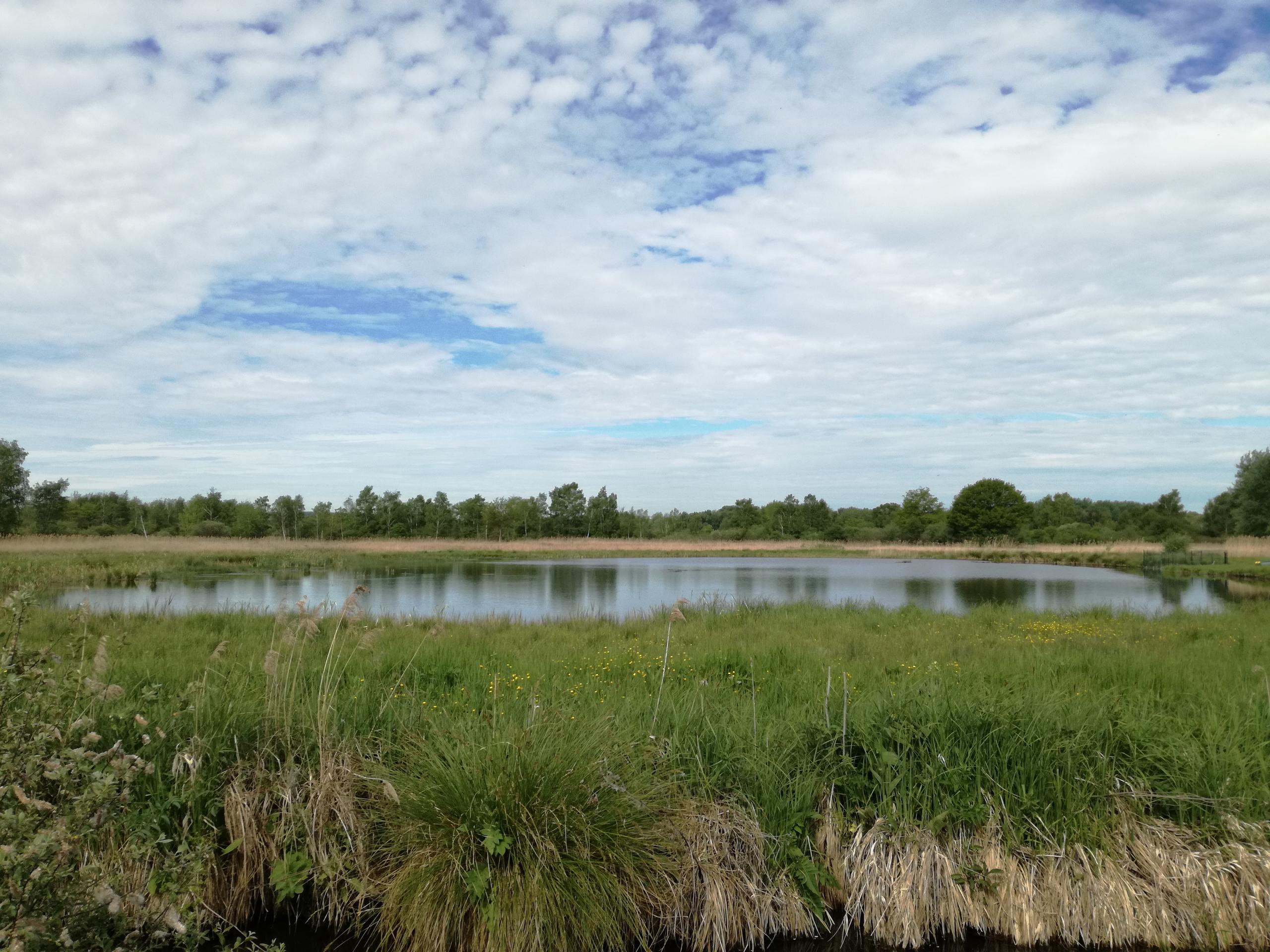  Sortie nature « Les richesses des Marais de Sacy » (Oise)