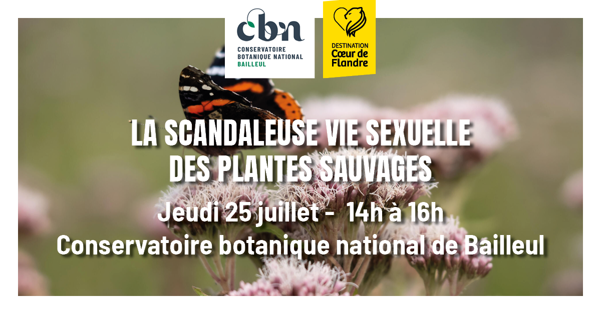  Sortie nature « La scandaleuse vie sexuelle des plantes »