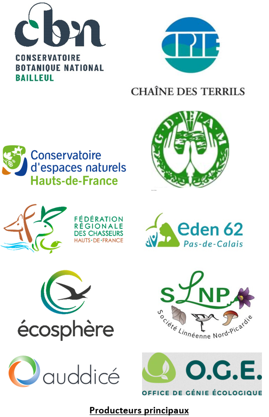 Digitale2 : 36 800 nouvelles données d'observation flore/habitat sur la période de mai à juin 2024