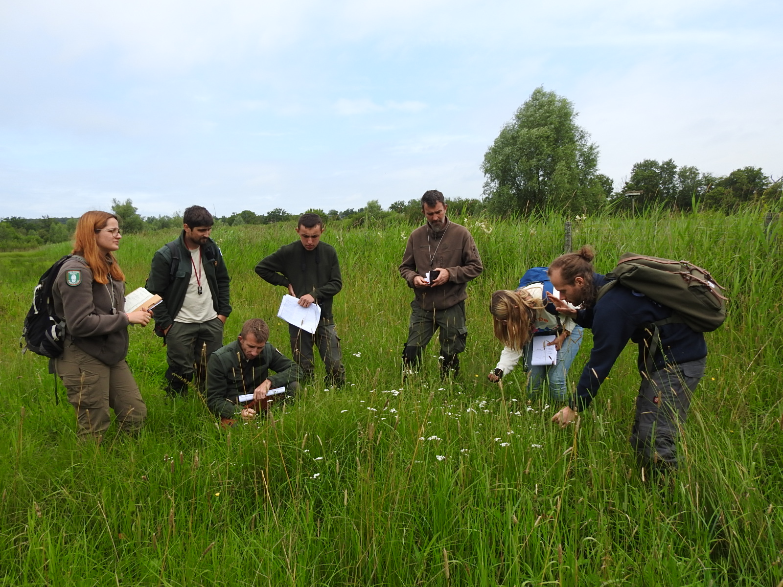 Des ateliers sur la flore des zones humides avec le Forum des marais atlantiques