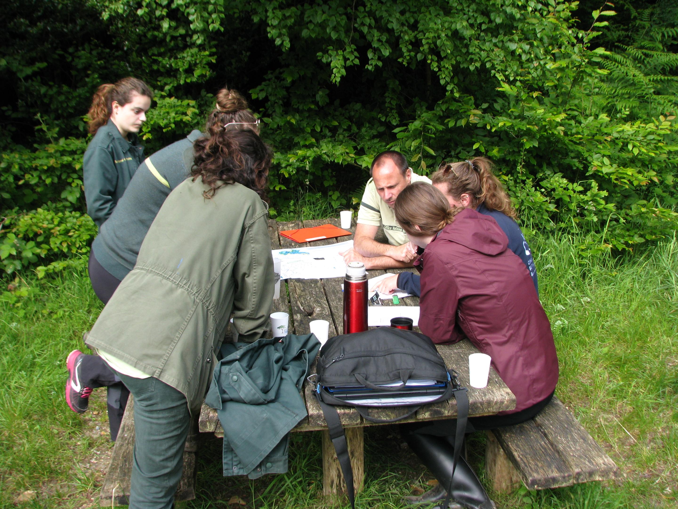 Collaboration avec l’ONF pour la préservation des populations de Cardamine à bulbilles dans le Pays de Thelle (Oise)