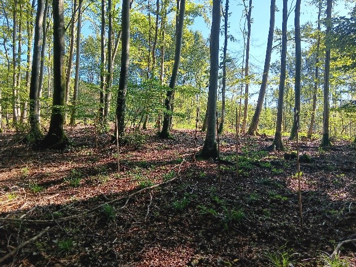 Fin de stage pour Romane