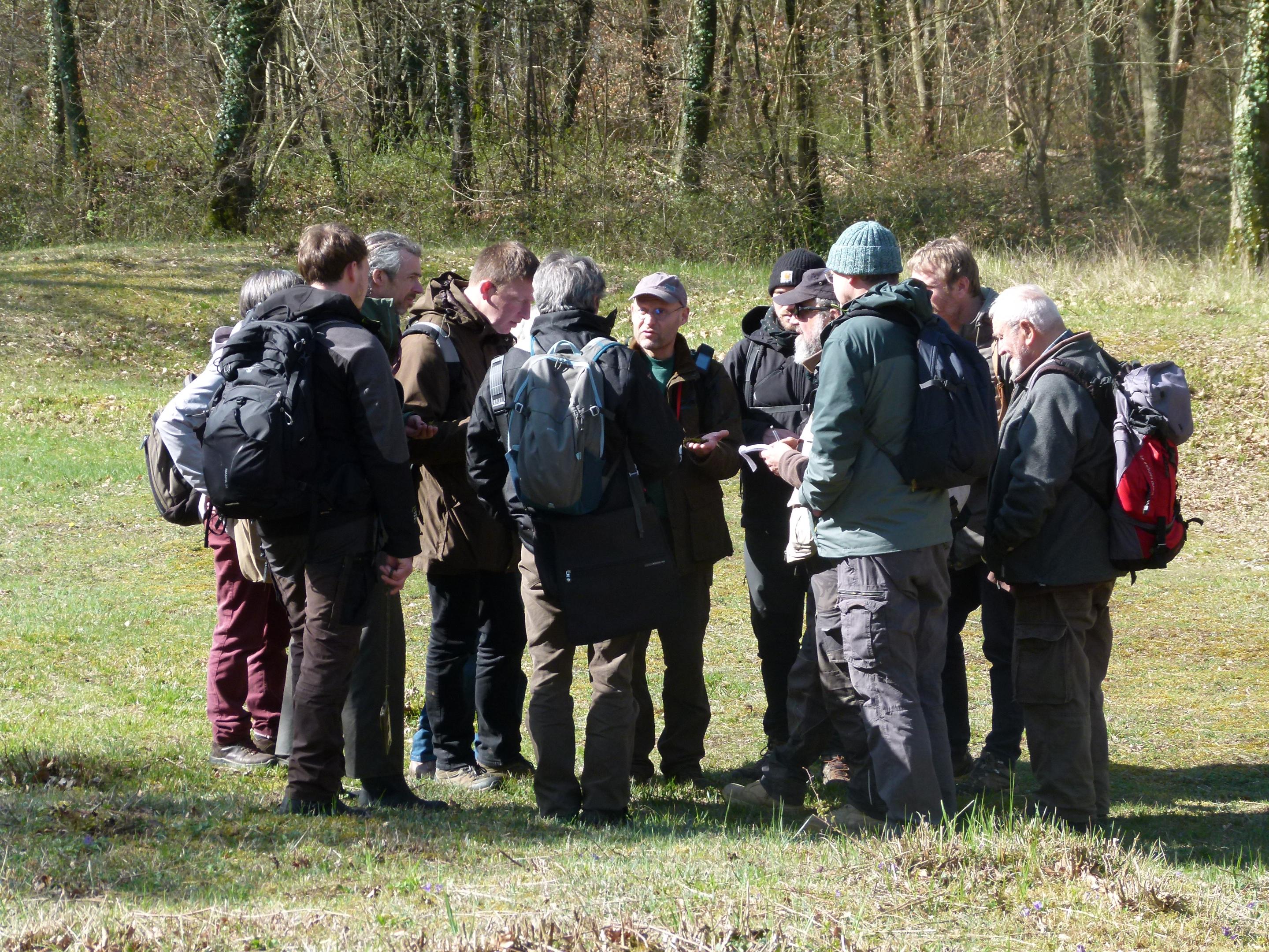 Rendez-vous annuel des bryologues du Nord de la France
