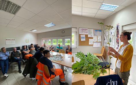 Des agents du Département de l’Oise formés pour une gestion intégrée des espèces exotiques envahissantes et une prise en compte des pollinisateurs le long des bords de routes