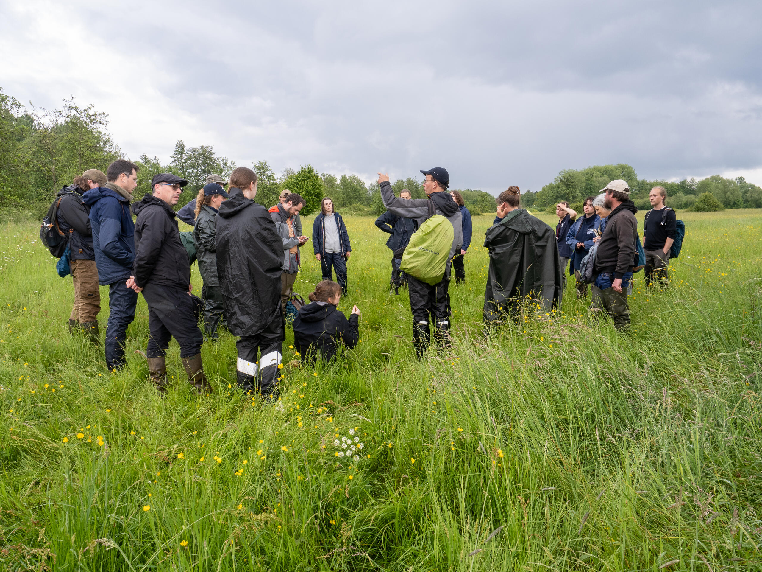 Botanistes : qui sommes-nous ?