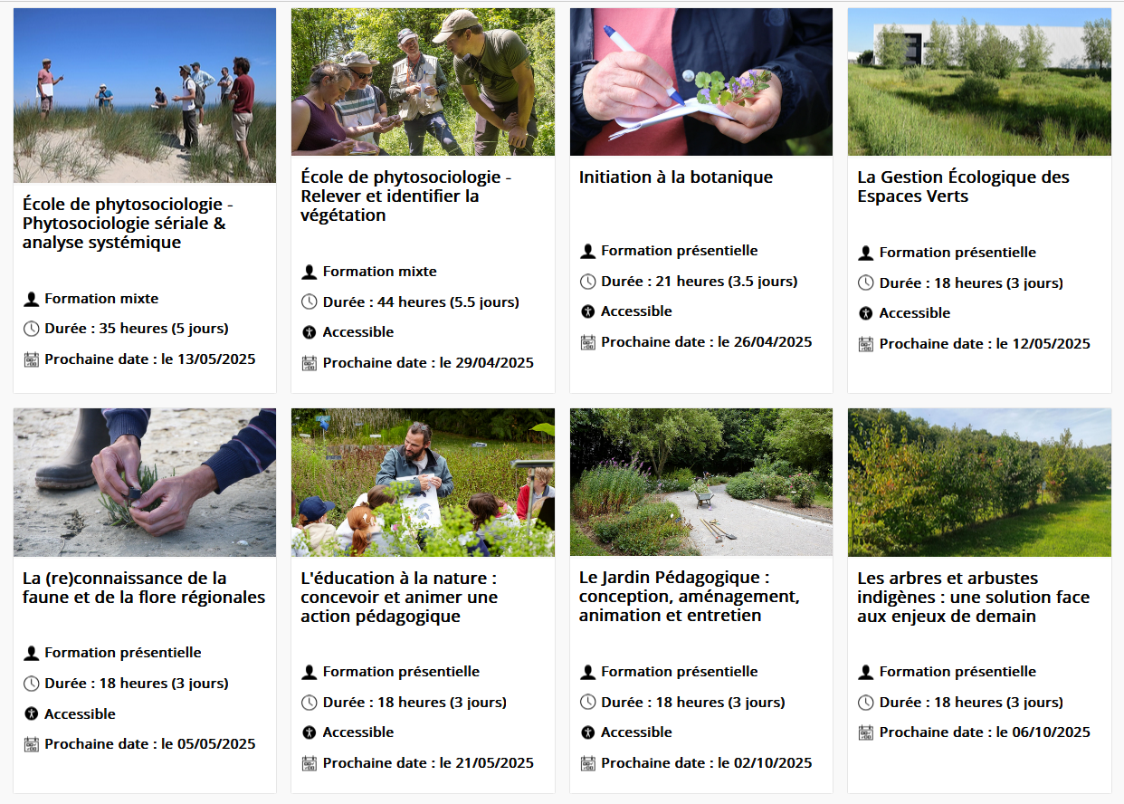 Notre catalogue de formations en ligne est ouvert !