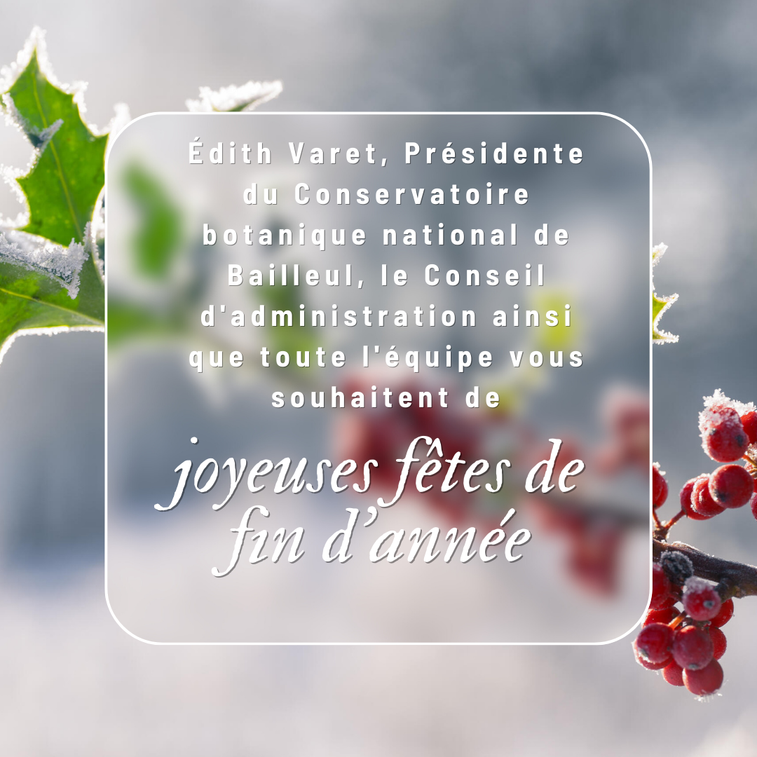  Joyeuses fêtes de fin d'année ! 
