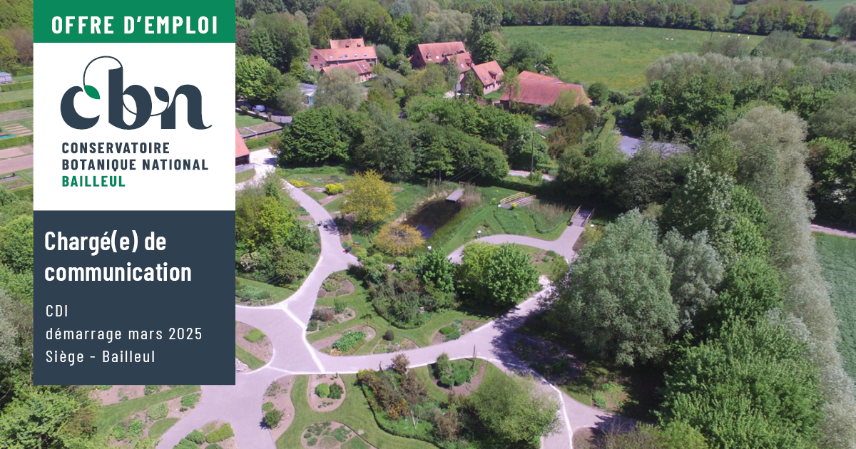 Offre d'emploi : Chargé(e) de communication