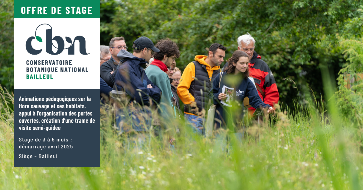 Offre de stage : "Animations pédagogiques sur la flore sauvage et ses habitats, appui à l’organisation des portes ouvertes, création d’une trame de visite semi-guidée"