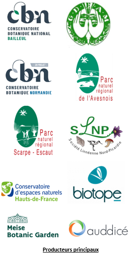 25 000 nouvelles données flore/habitat (novembre et décembre 2024) sur Digitale2