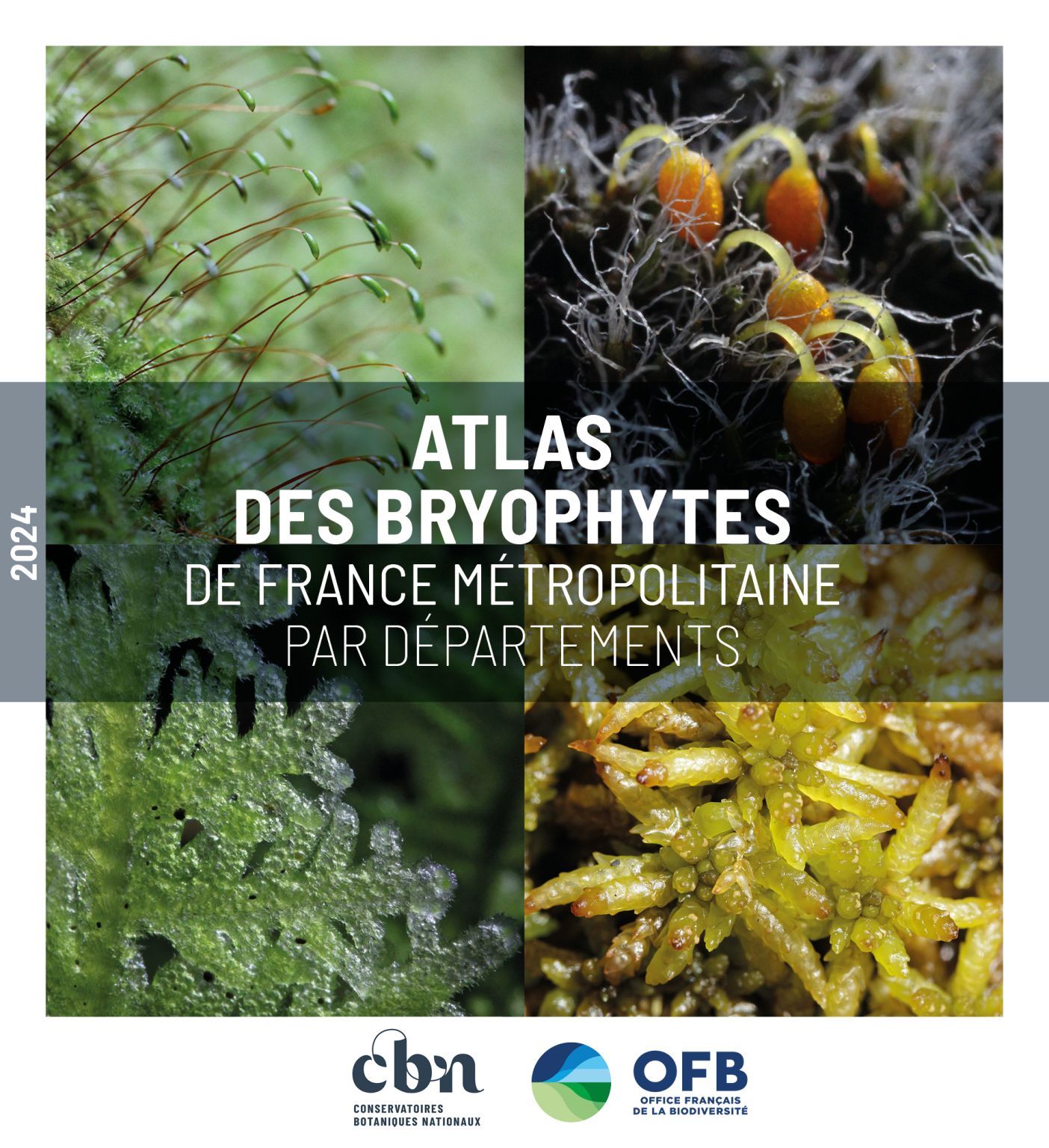 Publication du 1er Atlas des Bryophytes de France métropolitaine par départements !