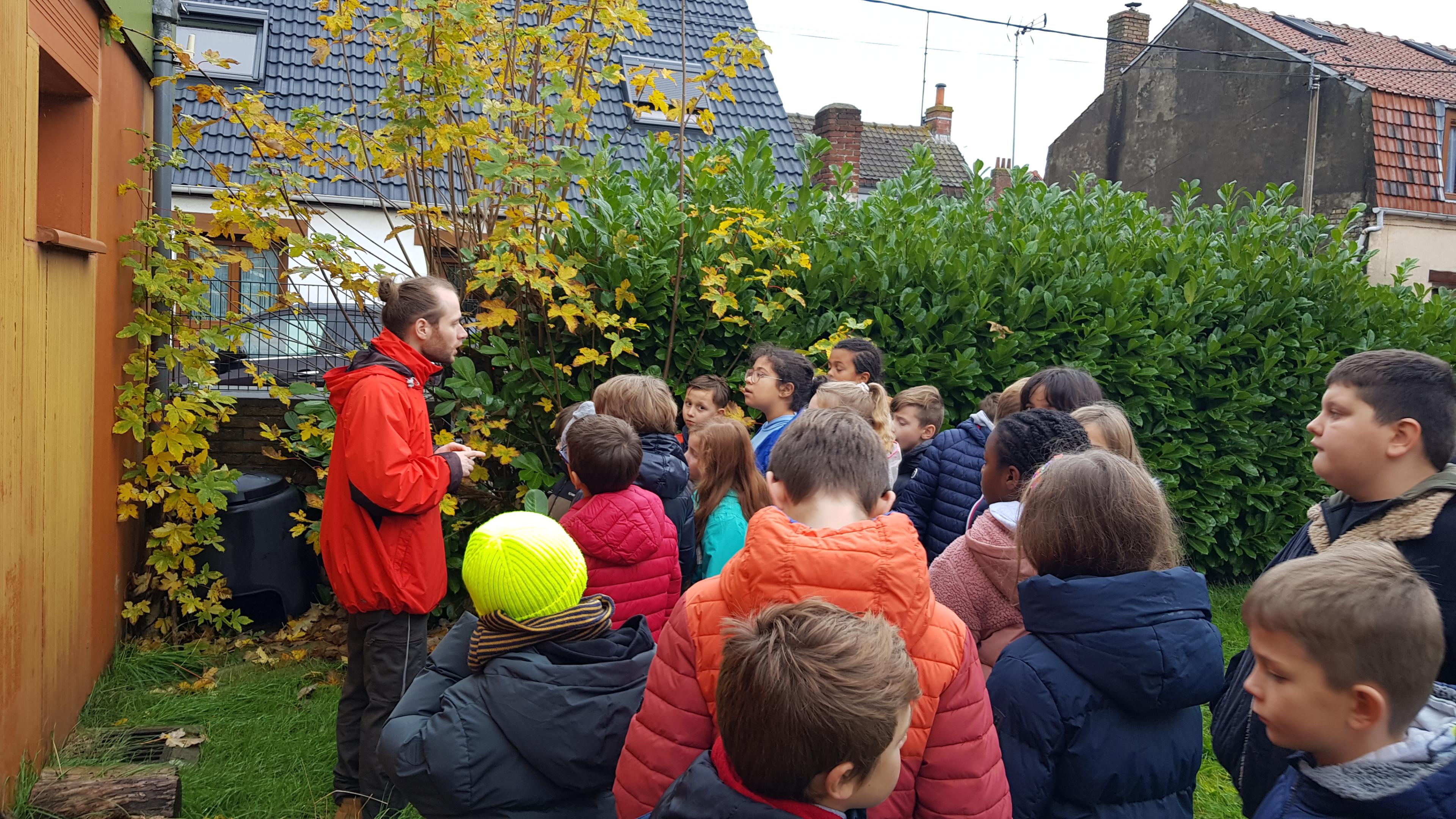 Programme Manuterra : le CBN de Bailleul accompagne des enfants de l'école Lamartine de Rosendaël (Nord)