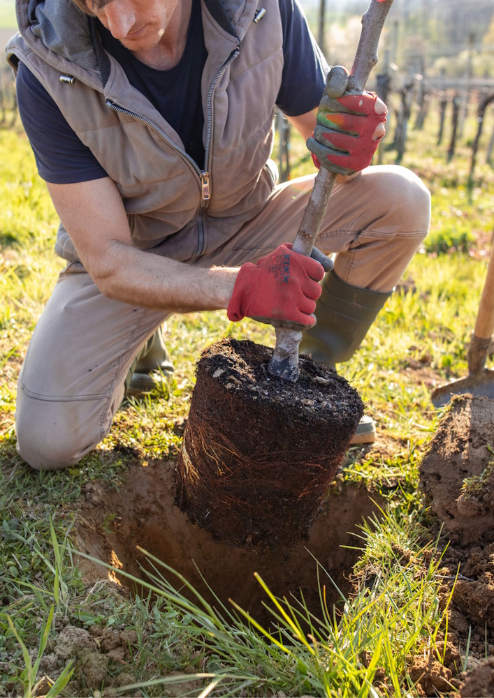 Conférence "Végétaliser : une solution face aux enjeux de demain ?" à Ennevelin (Nord)