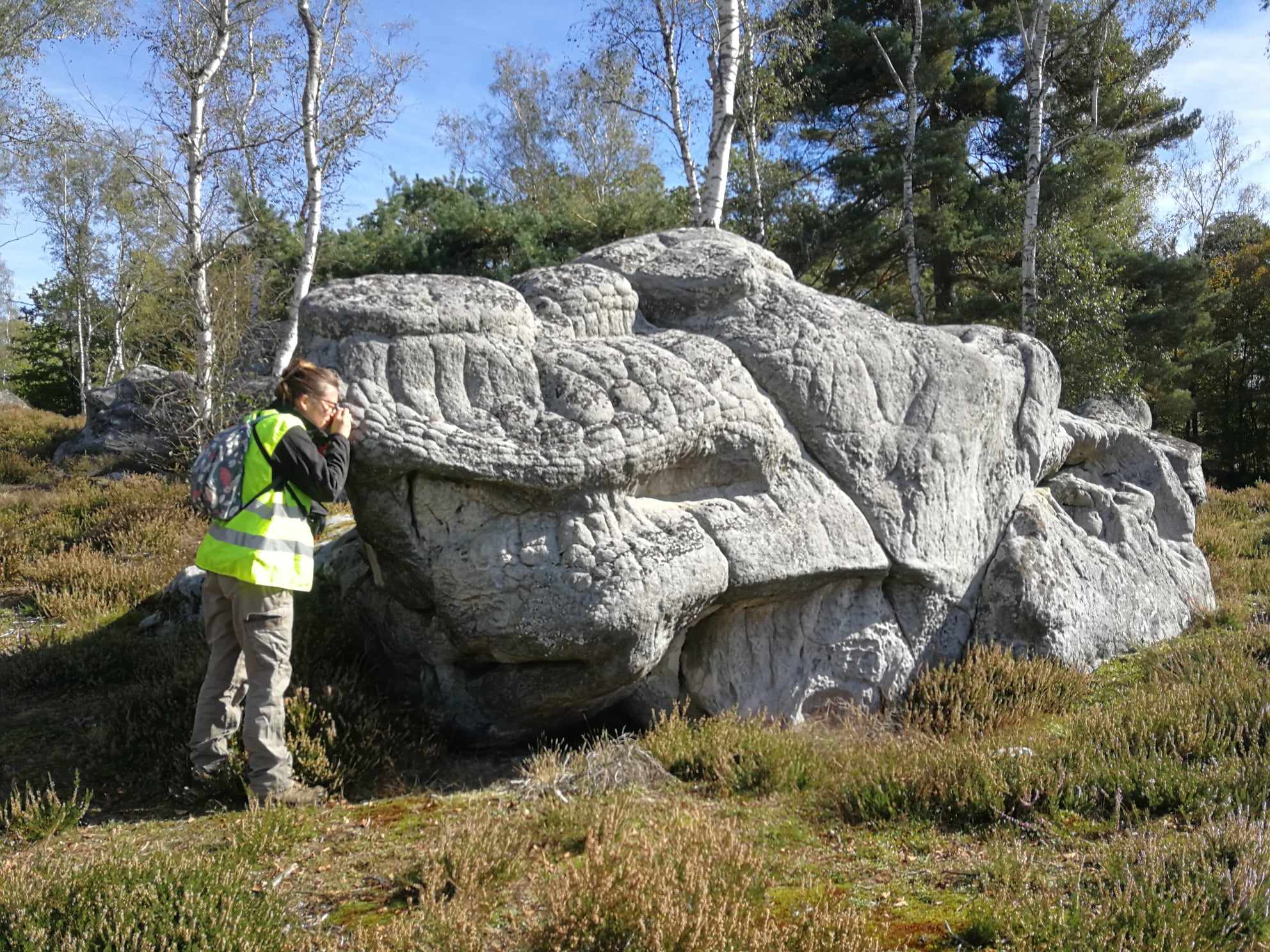 L'inventaire des lichens des Hauts-de-France est en ligne !
