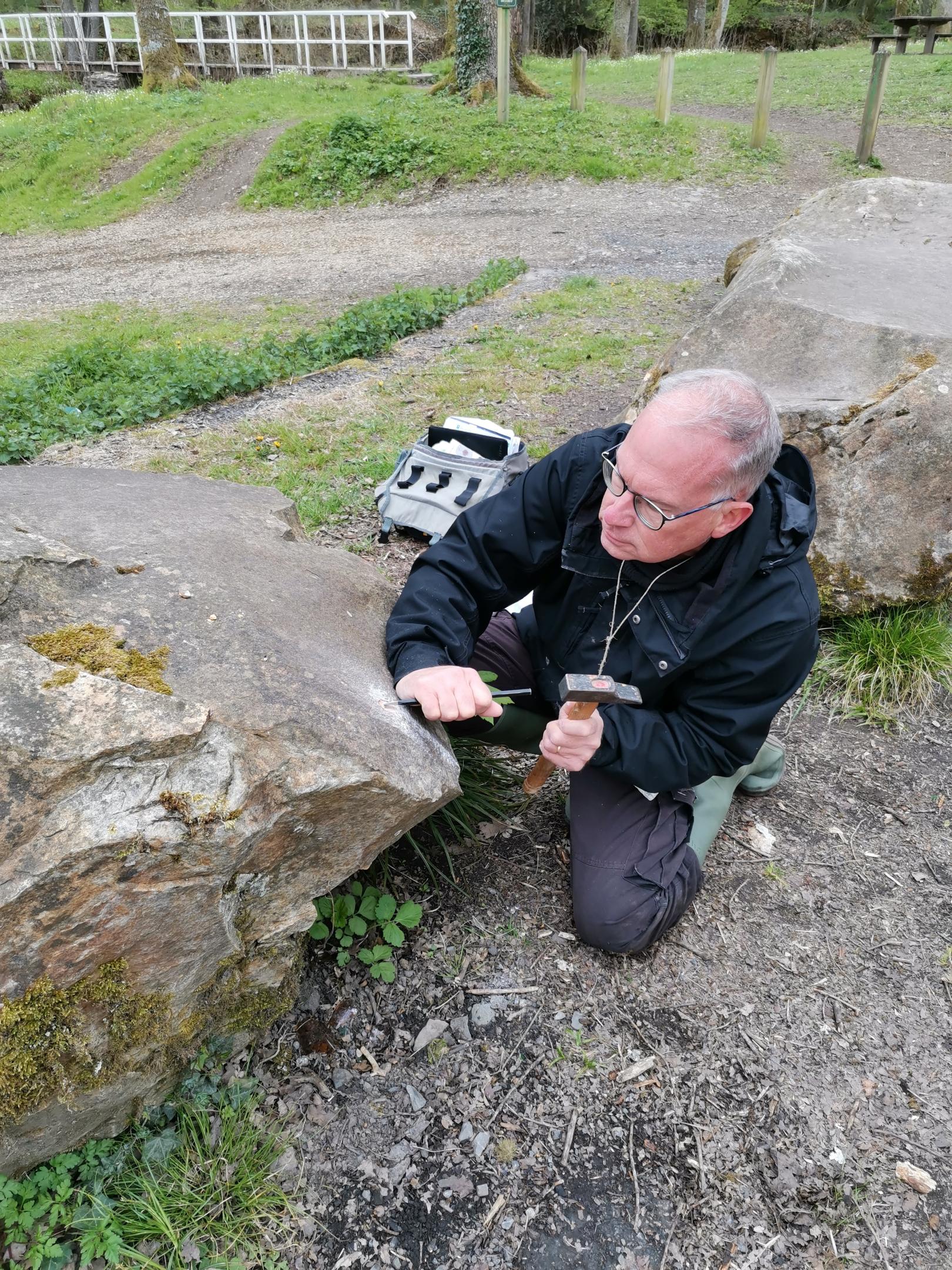 Mise à jour du Catalogue des lichens de France : contribution du CBN de Bailleul