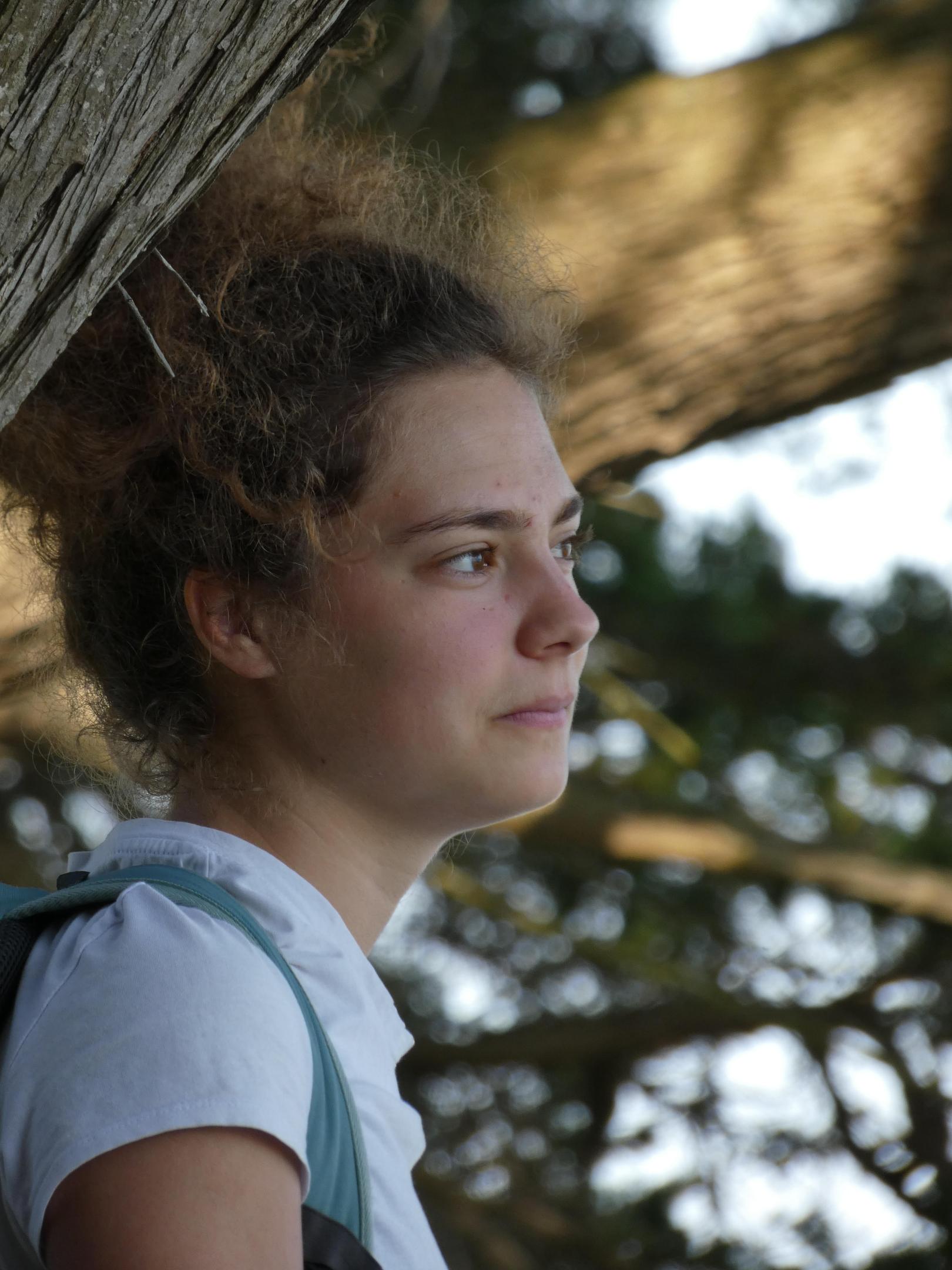 Arrivée de Tiphaine en stage au siège