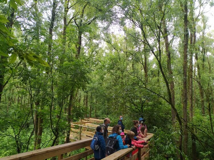 Sortie nature « Deux salles, deux ambiances » - Santes (Nord) 