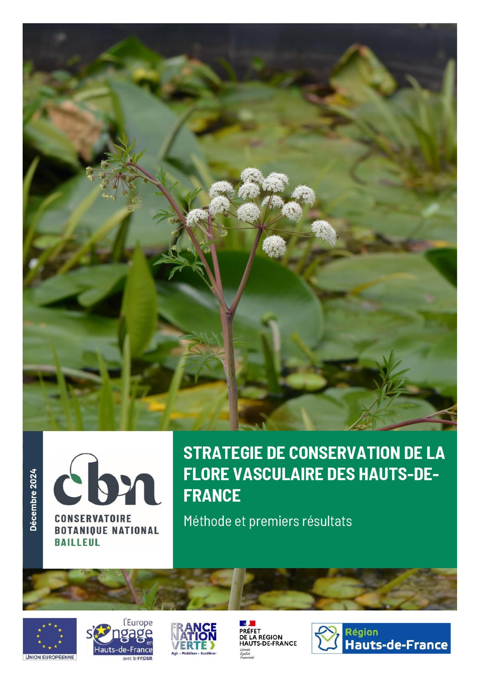 Un document cadre pour la stratégie de conservation de la flore sauvage vasculaire des Hauts-de-France