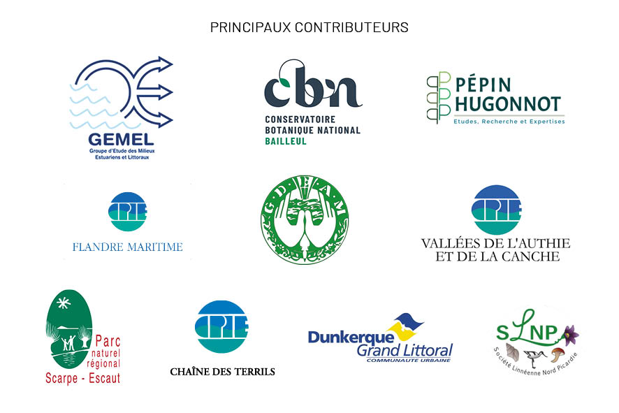 63 655 nouvelles données flore/habitat (janvier à mars 2025) sur Digitale2