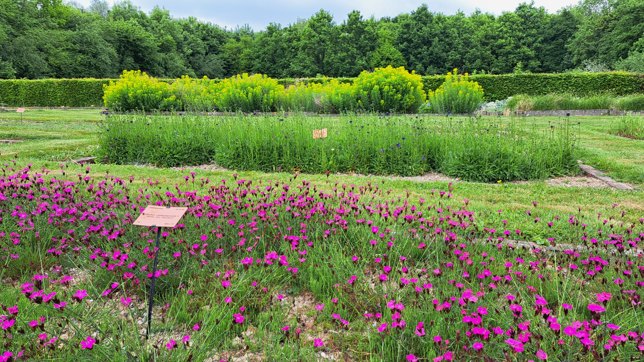 Le jardin conservatoire, un trésor à découvrir lors des portes ouvertes