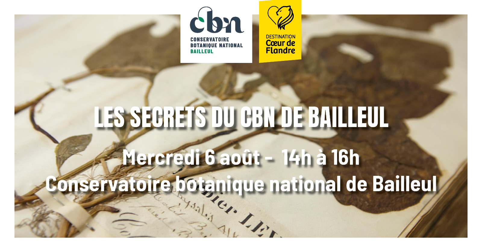 Sortie nature « Les secrets du CBN de Bailleul » - Bailleul (Nord)