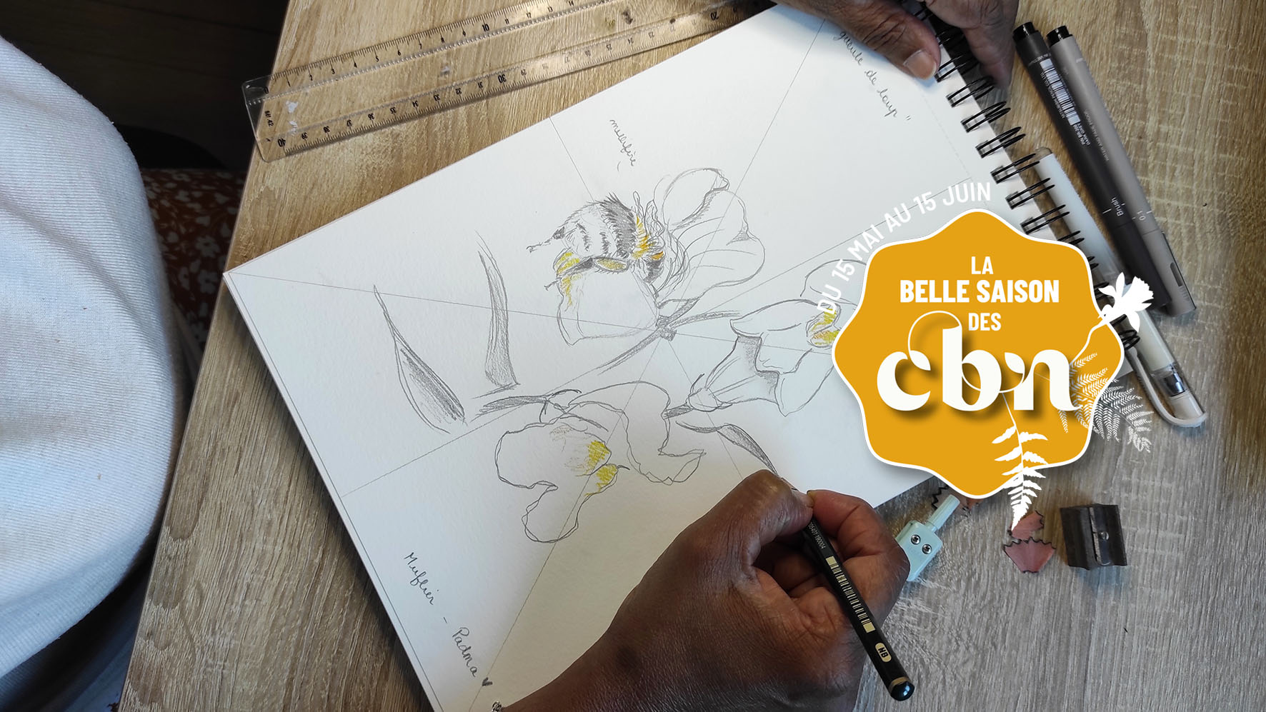 Atelier d'initiation au dessin naturaliste