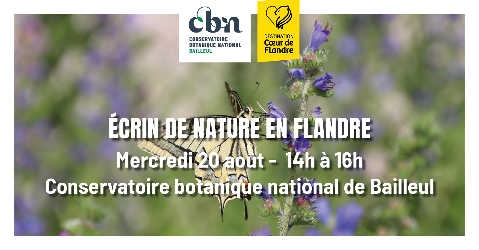 Sortie nature « Un écrin de Nature en Flandre » - Bailleul (Nord)