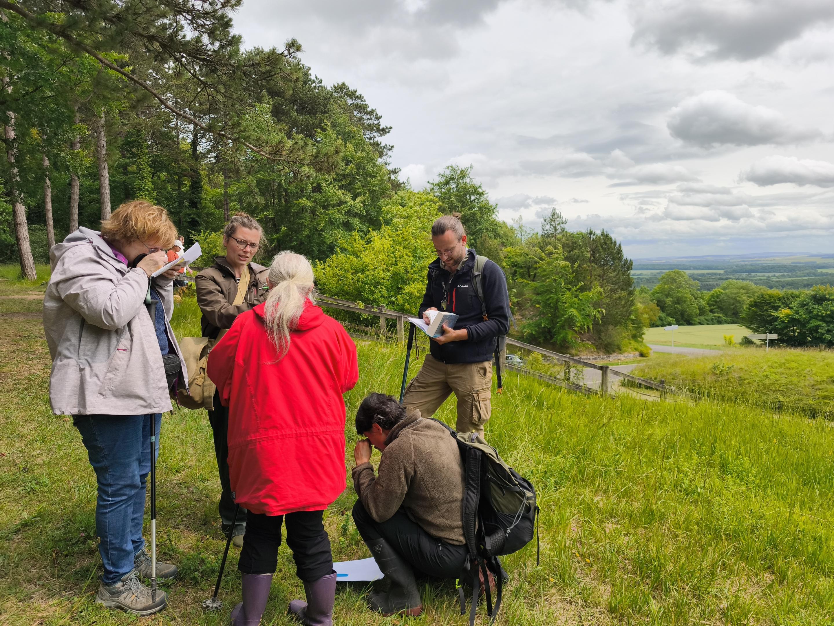 Retour sur les rencontres botaniques en forêt domaniale de Vauclair (Aisne)
