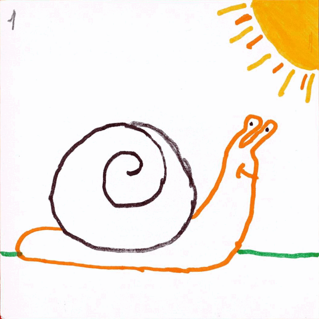 Nature animée pour les élèves des écoles de Bailleul