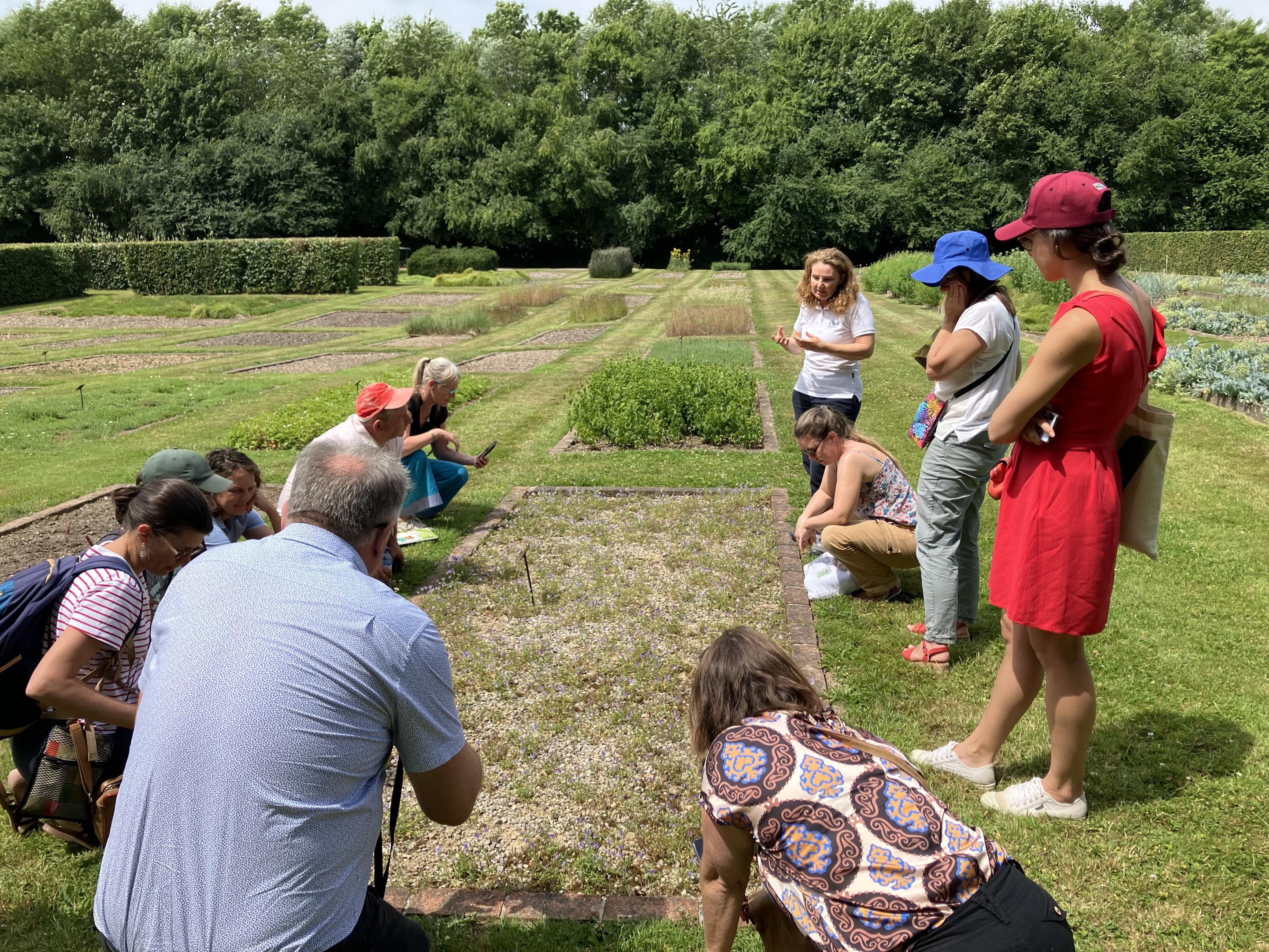 Rencontres des acteurs des ressources phytogénétiques des espèces cultivées et apparentées sauvages