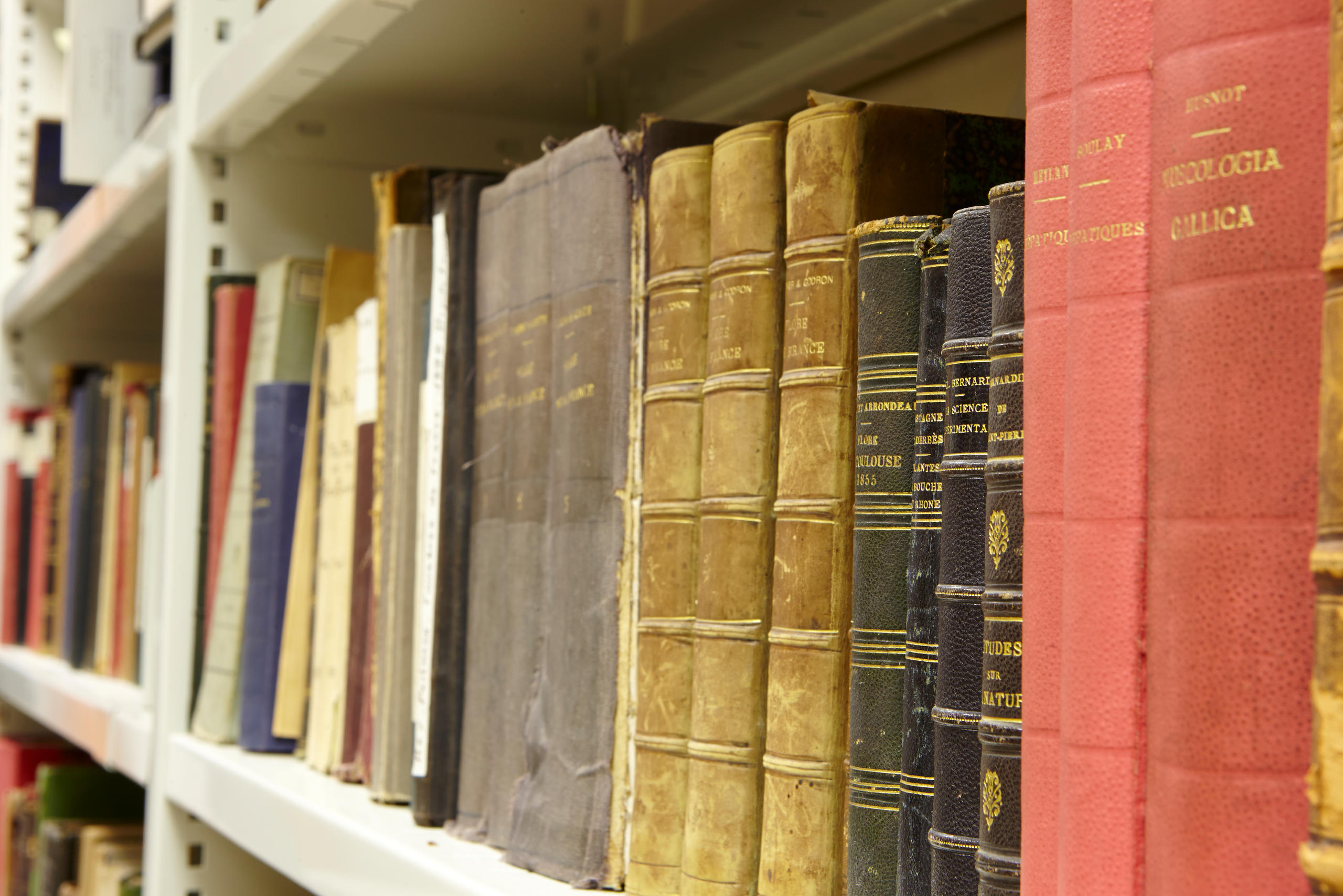 Pourquoi le CBN de Bailleul est-il souvent le dernier espoir des chercheurs en quête d'articles scientifiques ?